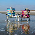 What Did You Like Most by Betsy Knapp What Did You Like Most by Betsy Knapp