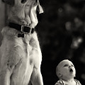 What Is That Photograph by Stelios Kleanthous What Is That Photograph by Stelios Kleanthous