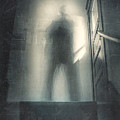 What is the Question Photograph by Scott Norris What is the Question Photograph by Scott Norris