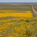 What Lies Ahead Photograph by Jim Garrison What Lies Ahead Photograph by Jim Garrison