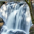 Whatcom Falls Photograph by Tony Locke Whatcom Falls Photograph by Tony Locke
