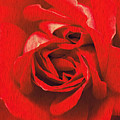 Whats in a rose? by Vix Edwards