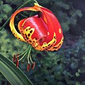 What's Up, Tigerlily? by Hunter Jay What's Up, Tigerlily? by Hunter Jay