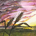 Wheat field Painting by Darren Cannell Wheat field Painting by Darren Cannell