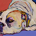 Where Is My Dinner by Pat Saunders-White Where Is My Dinner by Pat Saunders-White