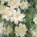 White Clematis Painting by Claude Monet White Clematis Painting by Claude Monet