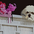 White Dog And Red Flowers by James Hill White Dog And Red Flowers by James Hill