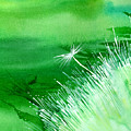 White Flower by Anil Nene White Flower by Anil Nene
