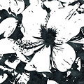 White Hibiscus- Art by Linda Woods Mixed Media by Linda Woods White Hibiscus- Art by Linda Woods Mixed Media by Linda Woods