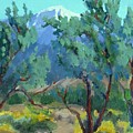 Whitewater Preserve Palm Springs Painting by Maria Hunt Whitewater Preserve Palm Springs Painting by Maria Hunt