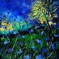 Wild Chocoree by Pol Ledent Wild Chocoree by Pol Ledent
