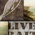Wild Game Live Bait Fishing by Mindy Sommers Wild Game Live Bait Fishing by Mindy Sommers