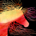 Wild Horse Abstract In Orange And Yellow by Michelle Wrighton