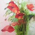 Wild Poppies by Lizzy Forrester Wild Poppies by Lizzy Forrester