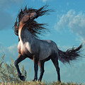 Wild Roan by Daniel Eskridge Wild Roan by Daniel Eskridge
