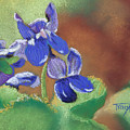 Wild Violets by Tracy L Teeter