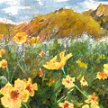 Wildflowers in the Desert by Cheryl Wallace