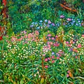 Wildflowers Near Fancy Gap by Kendall Kessler Wildflowers Near Fancy Gap by Kendall Kessler