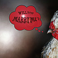 Will You Marry Me? By Kaye Menner by Kaye Menner Will You Marry Me? By Kaye Menner by Kaye Menner