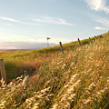 Windmill and the Fence Sundown Photograph by Troy Stapek Windmill and the Fence Sundown Photograph by Troy Stapek