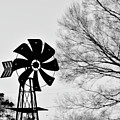 Windmill on the Farm Photograph by Nicole Lloyd Windmill on the Farm Photograph by Nicole Lloyd