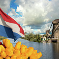 Windmills of Kinderdijk the Netherlands by Adriana Zoon