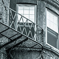 Window escape BW Photograph by Jason Hughes Window escape BW Photograph by Jason Hughes
