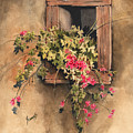 Window Niche by Sam Sidders Window Niche by Sam Sidders