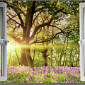 Window open onto bluebell forest sunrise Photograph by Simon Bratt Window open onto bluebell forest sunrise Photograph by Simon Bratt
