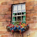 Window by Sam Sidders Window by Sam Sidders
