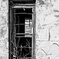 Through My Windows Photograph by Holly Ross Through My Windows Photograph by Holly Ross