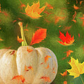Winds of Autumn Photograph by Cathy Kovarik Winds of Autumn Photograph by Cathy Kovarik