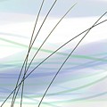 Windswept Digital Art by Gina Harrison Windswept Digital Art by Gina Harrison