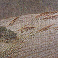 Windswept by Gordon Beck Windswept by Gordon Beck