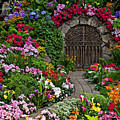 Wine celler gates Photograph by Garry Gay Wine celler gates Photograph by Garry Gay