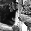 Winslow cabin door detail Photograph by Curtis J Neeley Jr Winslow cabin door detail Photograph by Curtis J Neeley Jr