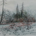Winter, Alberta by E Colin Williams ARCA