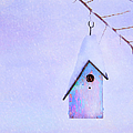 Winter Birdhouse Photograph by Theresa Tahara Winter Birdhouse Photograph by Theresa Tahara