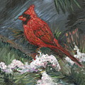 Winter Cardinal by Nadine Rippelmeyer Winter Cardinal by Nadine Rippelmeyer