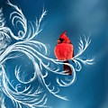 Winter Cardinal Digital Art by Norman Klein Winter Cardinal Digital Art by Norman Klein