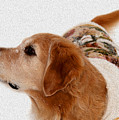 Winter Girl painted portrait Photograph by Bonnie Follett Winter Girl painted portrait Photograph by Bonnie Follett