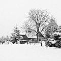Winter in Black and White Fleckl, Germany 2 Photograph by Tatiana Travelways Winter in Black and White Fleckl, Germany 2 Photograph by Tatiana Travelways