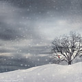 Winter Photograph by Lourry Legarde Winter Photograph by Lourry Legarde