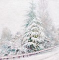 Winter of 04 by Jim Gola Winter of 04 by Jim Gola