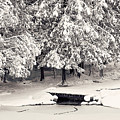Winter Scene Black and White Print Photograph by Gwen Gibson Winter Scene Black and White Print Photograph by Gwen Gibson