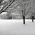 Winter Serenity by Patricia Montgomery