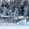 Winter Shore Photograph by Rikk Flohr Winter Shore Photograph by Rikk Flohr