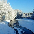 Winter Stream Photograph by Dani McEvoy Winter Stream Photograph by Dani McEvoy