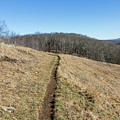 Winter Trail - December 7, 2016 Photograph by D K Wall Winter Trail - December 7, 2016 Photograph by D K Wall