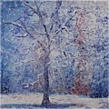 Winter Trees by Nadine Rippelmeyer Winter Trees by Nadine Rippelmeyer